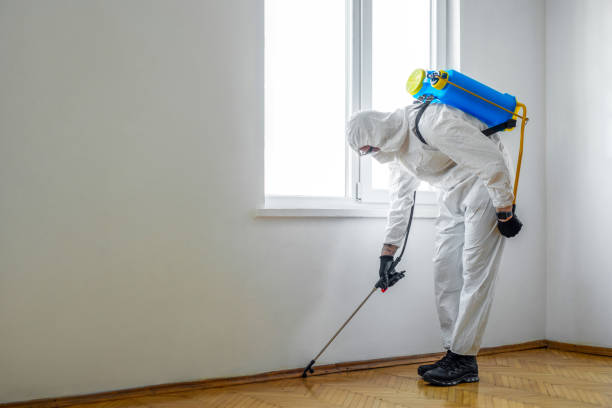 Best Termite Control Services  in Lexington, MI