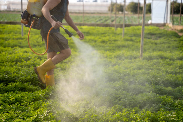 Best Best Pest Control Companies  in Lexington, MI