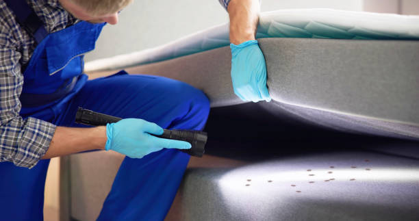 Best Ant Control Services  in Lexington, MI
