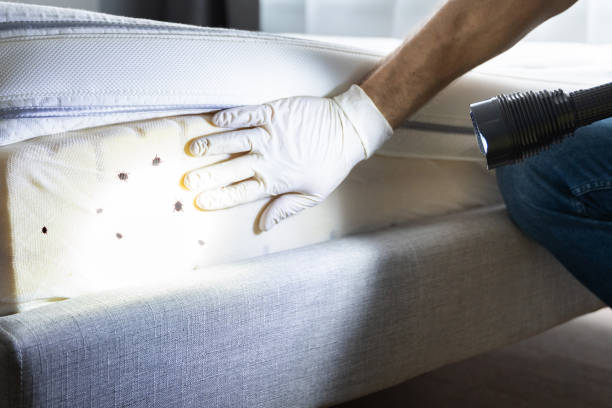 Best Pest Prevention Services  in Lexington, MI