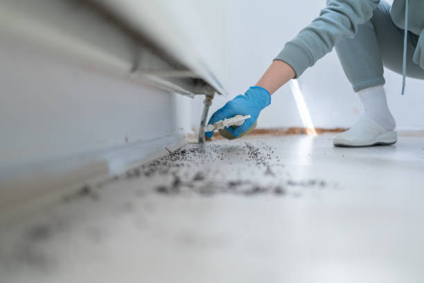 Best Exterminator Services  in Lexington, MI